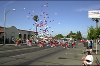 DSC_7116.jpg