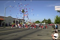 DSC_7117.jpg