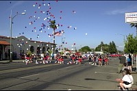 DSC_7118.jpg