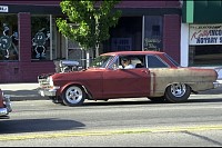 DSC_7137.jpg