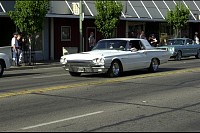 DSC_7148.jpg