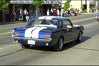 DSC_7159.jpg