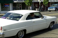 DSC_7166.jpg