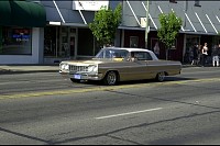 DSC_7167.jpg