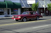 DSC_7169.jpg