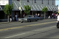 DSC_7174.jpg