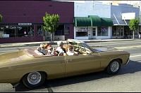DSC_7182.jpg