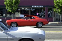 DSC_7196.jpg
