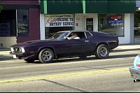 DSC_7203.jpg
