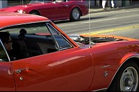 DSC_7209.jpg