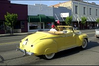 DSC_7230.jpg