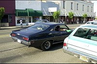 DSC_7245.jpg