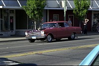 DSC_7249.jpg