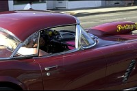 DSC_7251.jpg