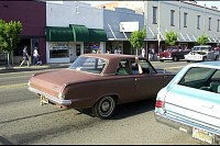 DSC_7271.jpg