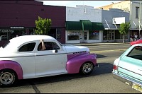 DSC_7279.jpg