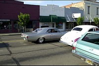DSC_7281.jpg