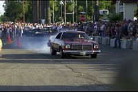 DSC_7310.jpg