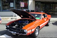 DSC_7422.jpg