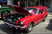 DSC_7439.jpg