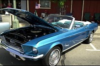 DSC_7442.jpg