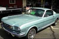 DSC_7444.jpg