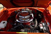 DSC_7448.jpg