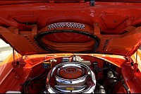 DSC_7450.jpg