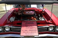 DSC_7457.jpg