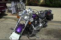 DSC_7468.jpg
