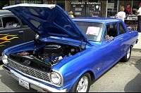 DSC_7495.jpg
