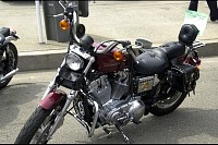 DSC_7508.jpg