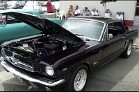 DSC_7519.jpg