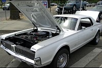 DSC_7529.jpg