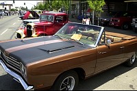 DSC_7551.jpg