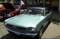 DSC_7554.jpg