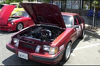 DSC_7555.jpg