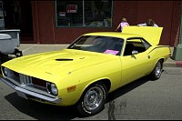 DSC_7559.jpg
