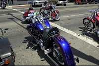DSC_7573.jpg