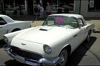 DSC_7583.jpg