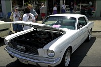 DSC_7584.jpg