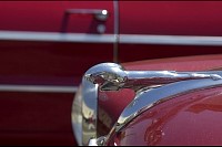 DSC_7600.jpg