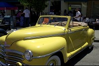 DSC_7633.jpg