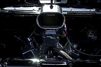 DSC_7649.jpg