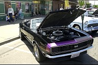 DSC_7651.jpg
