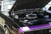 DSC_7652.jpg
