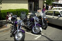 DSC_7656.jpg