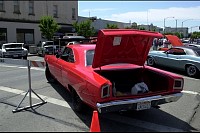 DSC_7661.jpg
