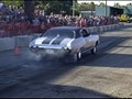 tn_DSC_2887_jpg