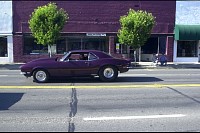 DSC_2559.jpg